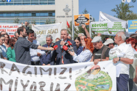 Screenshot 2025-09-22 at 13-06-42 Facebook